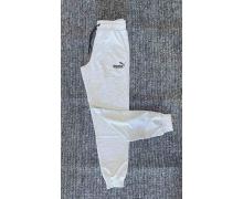 штаны спорт мужские Mary Poppins, модель 3842 grey демисезон