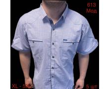 Рубашка мужская Надийка, модель 613 l.blue лето