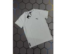 футболка мужская Alex Clothes, модель 3676 l.grey лето