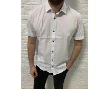 Рубашка мужская Nik, модель 34125 white лето