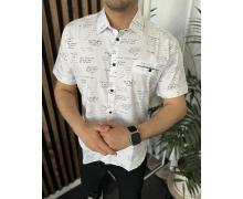 Рубашка мужская Nik, модель 34139 white лето