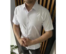 Рубашка мужская Nik, модель 34308 white лето
