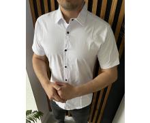 Рубашка мужская Nik, модель 34309 white лето