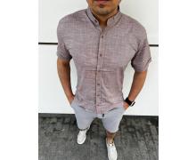 Рубашка мужская Nik, модель 34312 brown лето