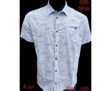 Рубашка мужская Надийка, модель 029-1 white лето