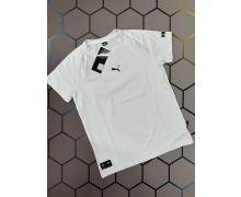 футболка мужская Alex Clothes, модель 3865 white лето
