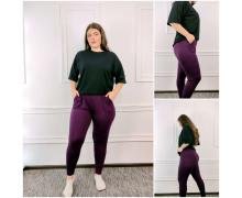 штаны женские Global, модель 4678 purple демисезон