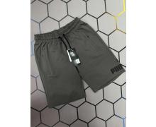 шорты мужские Alex Clothes, модель 4158 grey лето