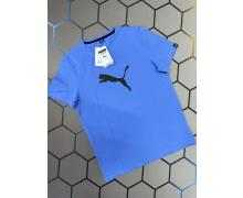 футболка мужская Alex Clothes, модель 4399 l.blue лето