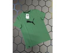 футболка мужская Alex Clothes, модель 4401 green лето