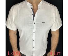 Рубашка мужская Надийка, модель ТВ117 white лето