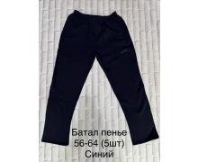 Штаны Спорт мужские Long Sport, модель LS98 navy зима