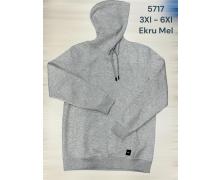 Худи мужские 2BRO, модель 5717 grey зима