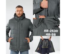 Куртка мужская Ale-Ate, модель AB2530 grey зима