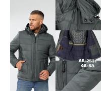 Куртка мужская Ale-Ate, модель AB2531 grey зима