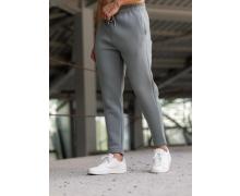 Штаны Спорт мужские 2BRO, модель 3250 l.grey зима