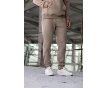 Штаны Спорт мужские 2BRO, модель 3251 beige зима