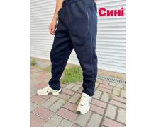 Штаны Спорт мужские Sport style, модель 01-2 blue зима