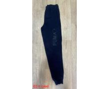 штаны спорт мужские Sport style, модель 02 navy-old-5 зима