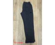 Штаны Спорт мужские Sport style, модель 10 d.grey зима