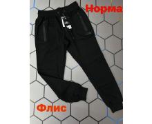 Штаны Спорт мужские Alex Clothes, модель 1760 black зима