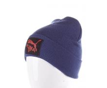 шапка мужская Sevim, модель A0248 blue зима