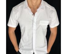 рубашка подросток Надийка, модель AA261 белый лето