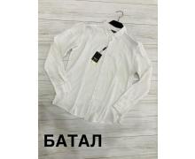 рубашка мужская Yulichka, модель Батал 4244 white лето