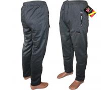 штаны мужские PVC, модель F6 d.grey демисезон