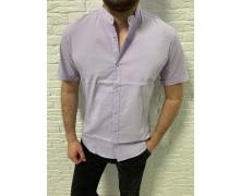 Рубашка мужская Nik, модель Батал S1252 purple лето