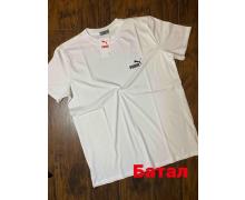 футболка мужская Alex Clothes, модель A2022 white батал лето