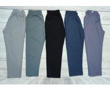 Штаны Спорт мужские Samo, модель FR21 d.grey лето