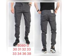 Штаны мужские God Baron, модель 8080-16 grey демисезон