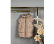 Жилетка детская Delfinka, модель 649 beige демисезон