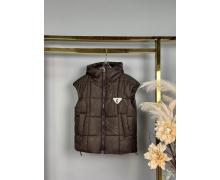 Жилетка детская Delfinka, модель 649 beige демисезон