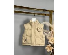 Жилетка детская Delfinka, модель 8135 black демисезон