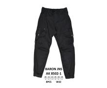 Штаны мужские God Baron, модель AK 8502-1 black демисезон