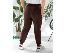 Штаны Спорт женские T.S.Eliot, модель 903 brown демисезон