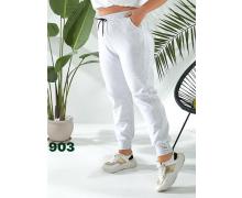 Штаны Спорт женские T.S.Eliot, модель 903 brown демисезон