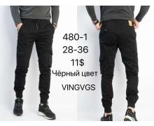 Штаны мужские God Baron, модель 480-11 black демисезон