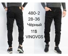 Штаны мужские God Baron, модель 480-11 black демисезон