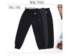 Штаны Спорт мужские Hoan, модель WK7051 navy демисезон