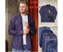 Рубашка мужская Hoan, модель C20 mix зима
