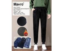 штаны спорт женские Алия, модель C207-1 mix мех зима