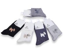 носки детские Jelzin, модель CY550-1 mix демисезон