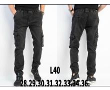 Штаны мужские God Baron, модель L40 black демисезон