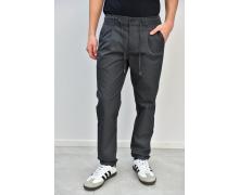 Штаны мужские Bromley, модель U02-017 grey демисезон