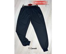 Штаны Спорт мужские Sport style, модель 12 navy демисезон