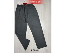 Штаны Спорт мужские Sport style, модель N01 d.grey демисезон