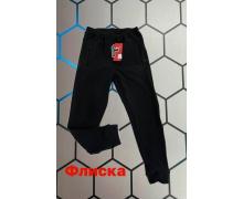 Штаны Спорт мужские Alex Clothes, модель 6190 black зима